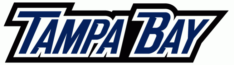 Tampa Bay Lightning 2007-2010 Wordmark Logo iron on transfers for T-shirts